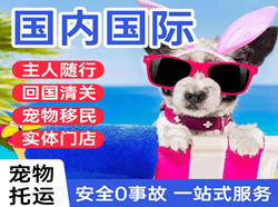三亚凤凰机场空运国际宠物托运 【国